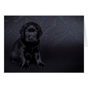 Cartão Filhote Labrador Preto