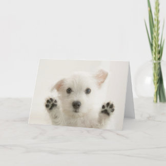 Cartão Filhote Westie Fofo