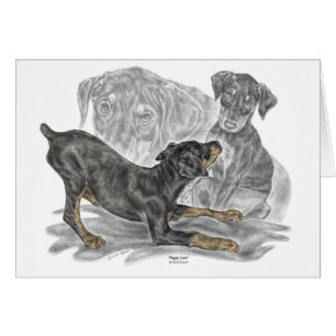 Cartão Filhotes de cachorro brincalhão do Pinscher do