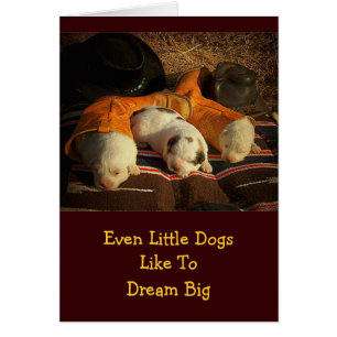 Cartão Filhotes de cachorro cansados do vaqueiro