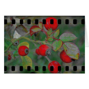 Cartão Filme cor-de-rosa 2