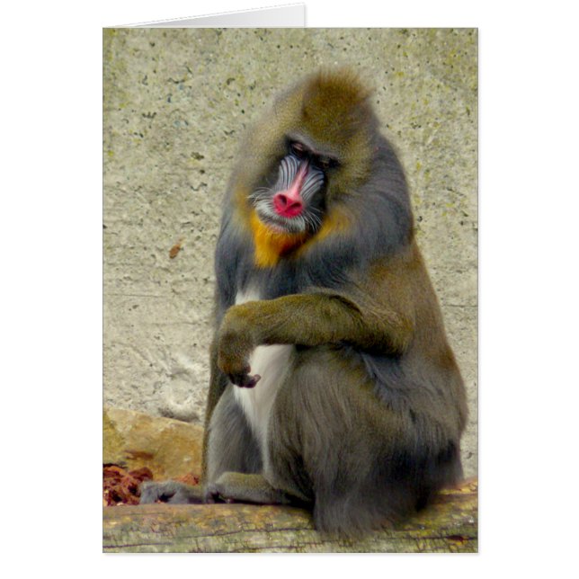 Cartão Filósofo (Frente)