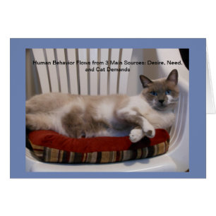 Cartão Filósofo de olhos azuis Notecards do gato [vazio