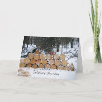 Filtro de Registros Cortados na Neve