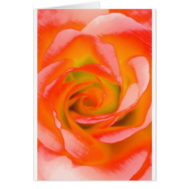 Cartão Fim-acima cor-de-rosa da laranja (Frente)