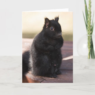 Cartão Finalmente amigos