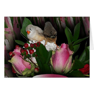 Cartão Finch Card 2