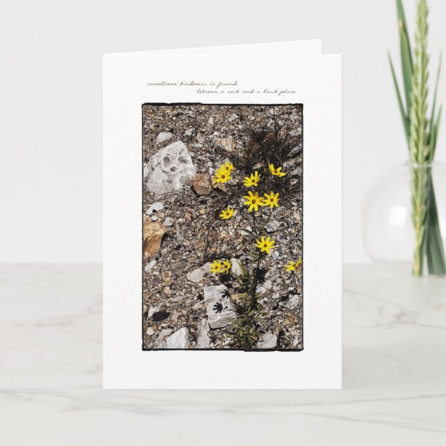 Cartão Finding Kindness Note Card (Frente)