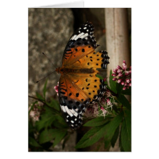 Cartão Finlandês-Hyvää Syntymäpäivää-butterfly