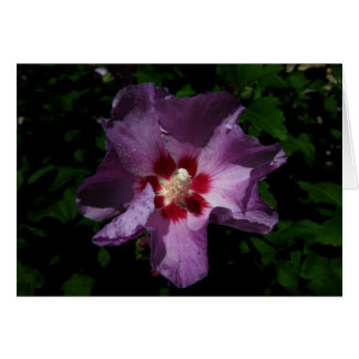 Cartão Finlandês-Hyvää Syntymäpäivää — flor púrpura