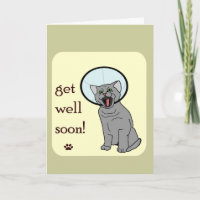 Fique Bem Em Breve | Gato com Cone