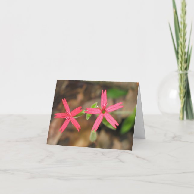 Cartão Fire Pink - Customized2 (Frente)