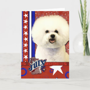 Cartão Firecracker de 4 de julho - Bichon Frise