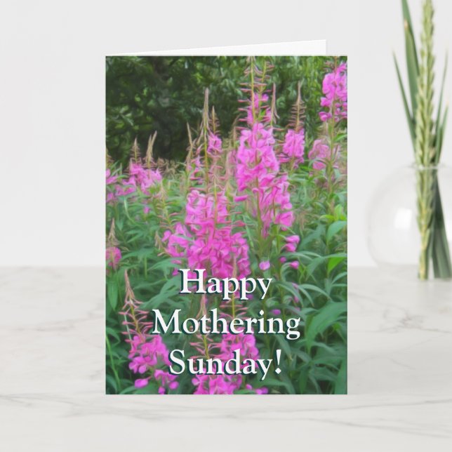 Cartão Fireweed (Frente)