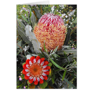 Cartão Firewood e Scarlet Banksia