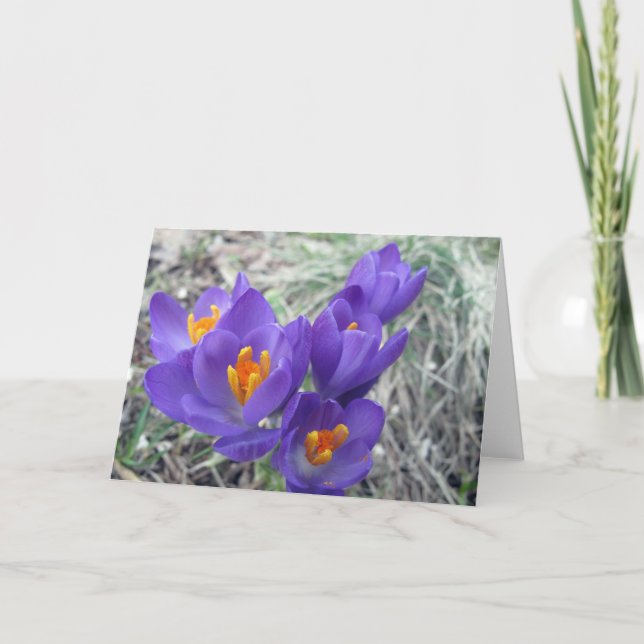 Cartão First Blooms of Spring (Frente)