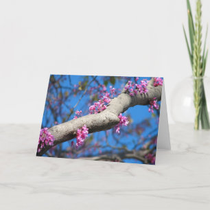 Cartão First Day of Spring