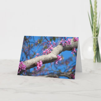 Cartão First Day of Spring