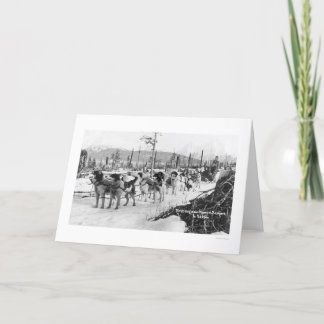 Cartão First Dog Team Alaska 1910