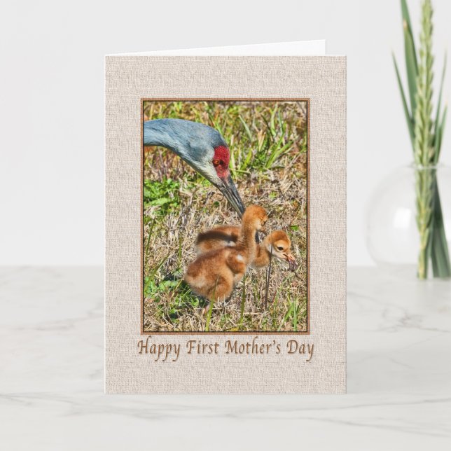 Cartão First Mother's Day Card with Birds (Frente)