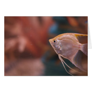 Cartão "Fish" por Larry Coressel