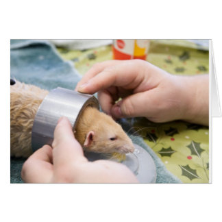 Cartão fita adesiva