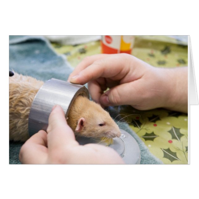 Cartão fita adesiva (Frente horizontal)