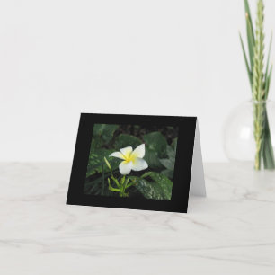 Cartão "Five Petals" Note Card