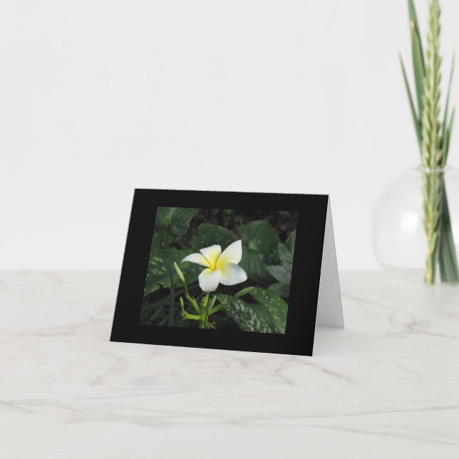 Cartão "Five Petals" Note Card (Frente)