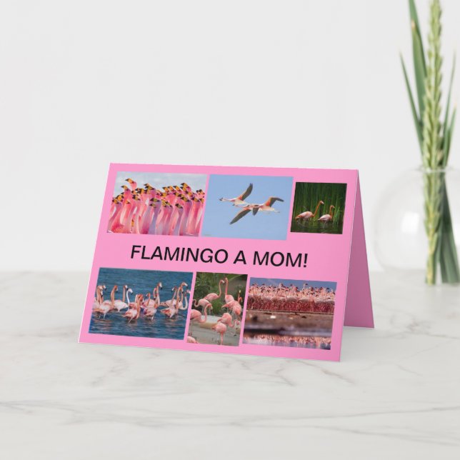 Cartão Flamigo a mom mothers day card (Frente)