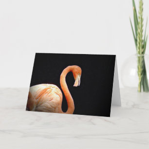 Cartão Flamingo