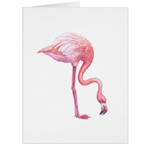 Cartão Flamingo