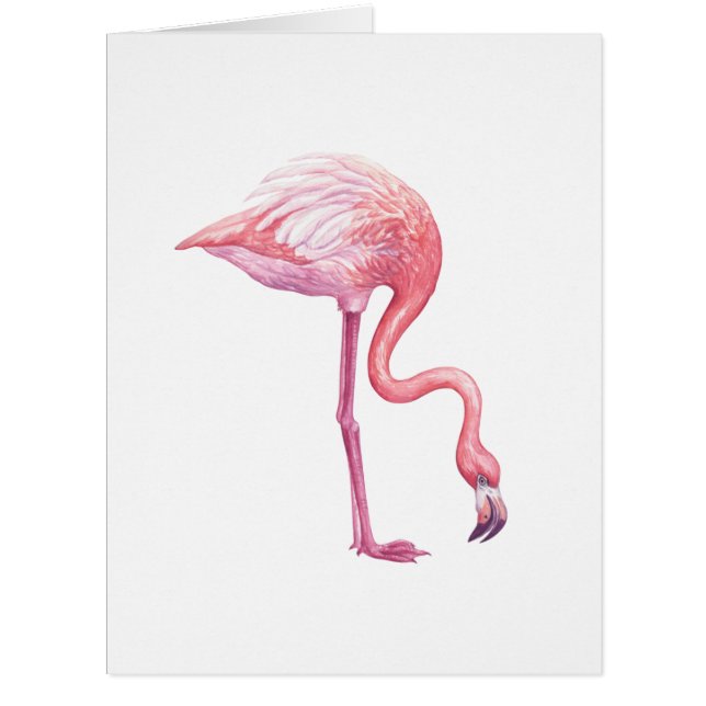 Cartão Flamingo (Frente)