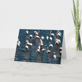 Cartão Flamingo Birds In Pink and White On Inkwell Blue