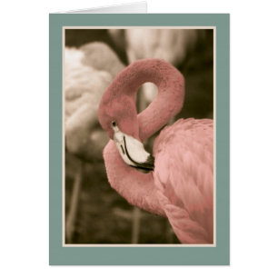 Cartão Flamingo cor-de-rosa