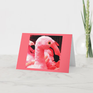 Cartão Flamingo Stuffy