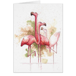 Cartão Flamingos