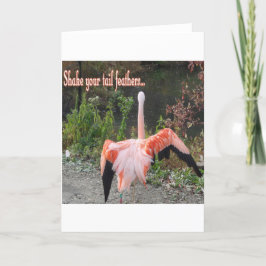 Cartão Flamingos