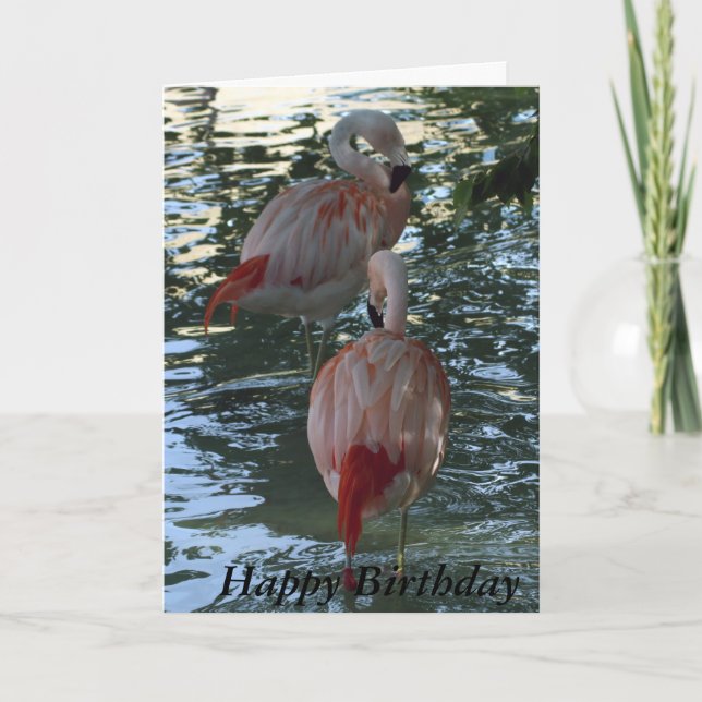 Cartão Flamingos (Frente)
