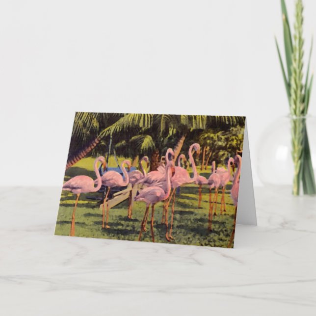 Cartão Flamingos cor-de-rosa na Flórida (Frente)