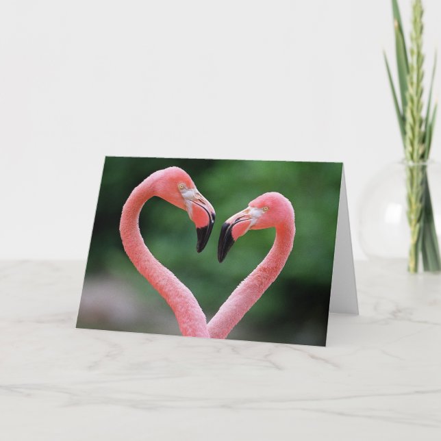 Cartão Flamingos note card (Frente)