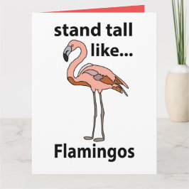 Cartão Flamingos São Altos Como Flamingos Flamingo