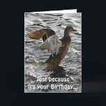 Cartão Flapping Mallard Duck Funny Birthday Card<br><div class="desc">Entitled "Sunlighting II", this cool wildlife card features a wild female Mallard Duck (Drake) flapping her wings to dry off after a happy landing. As a Birthday card, the humour in side the card, will not escape those who appreciate a good pun. A delightful art image for Duck lovers that's...</div>