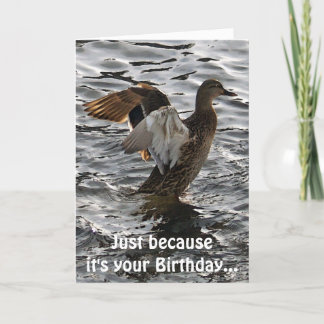 Cartão Flapping Mallard Duck Funny Birthday Card