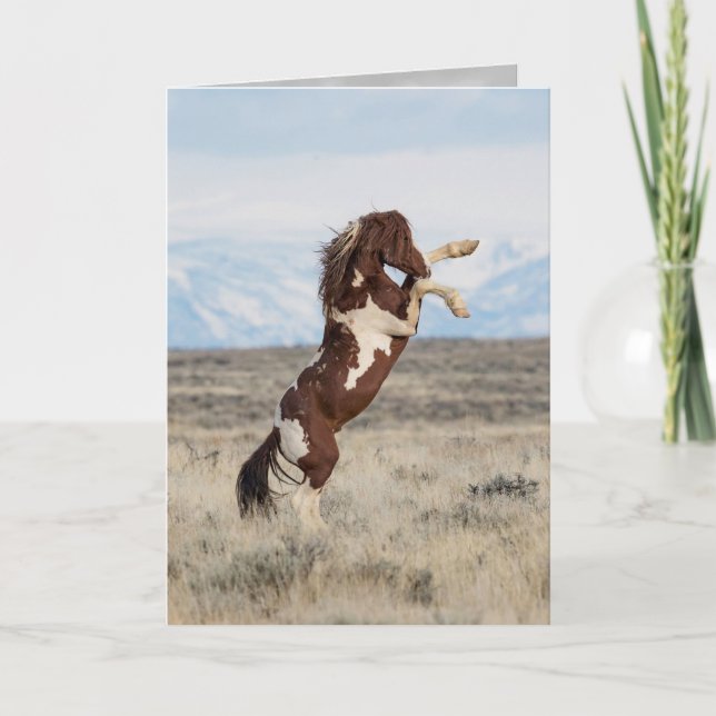Cartão Flash Rears Wild Horse Greeting Card (Frente)