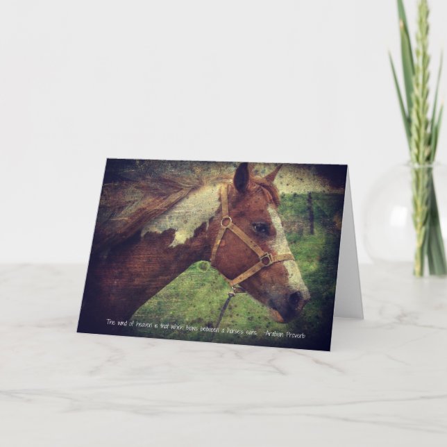 Cartão Flashy com Cotação (Frente)