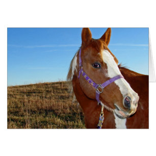 Cartão Flashy em Nebraka