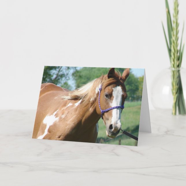 Cartão Flashy na Linha Pulmonar (Frente)