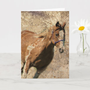 Cartão Flashy Vintage Grunge Todas as Ocasiões