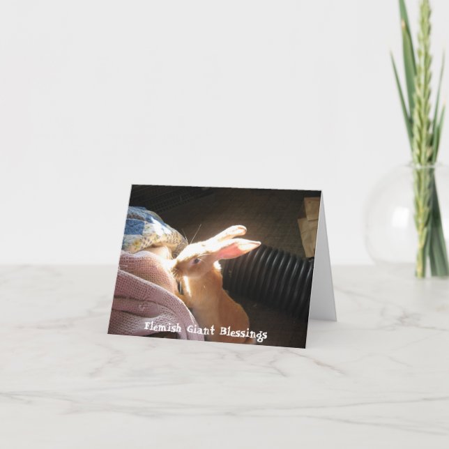 Cartão Flemish Giant Blessings Notecards (Frente)